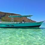 Tuna Tuna Tours