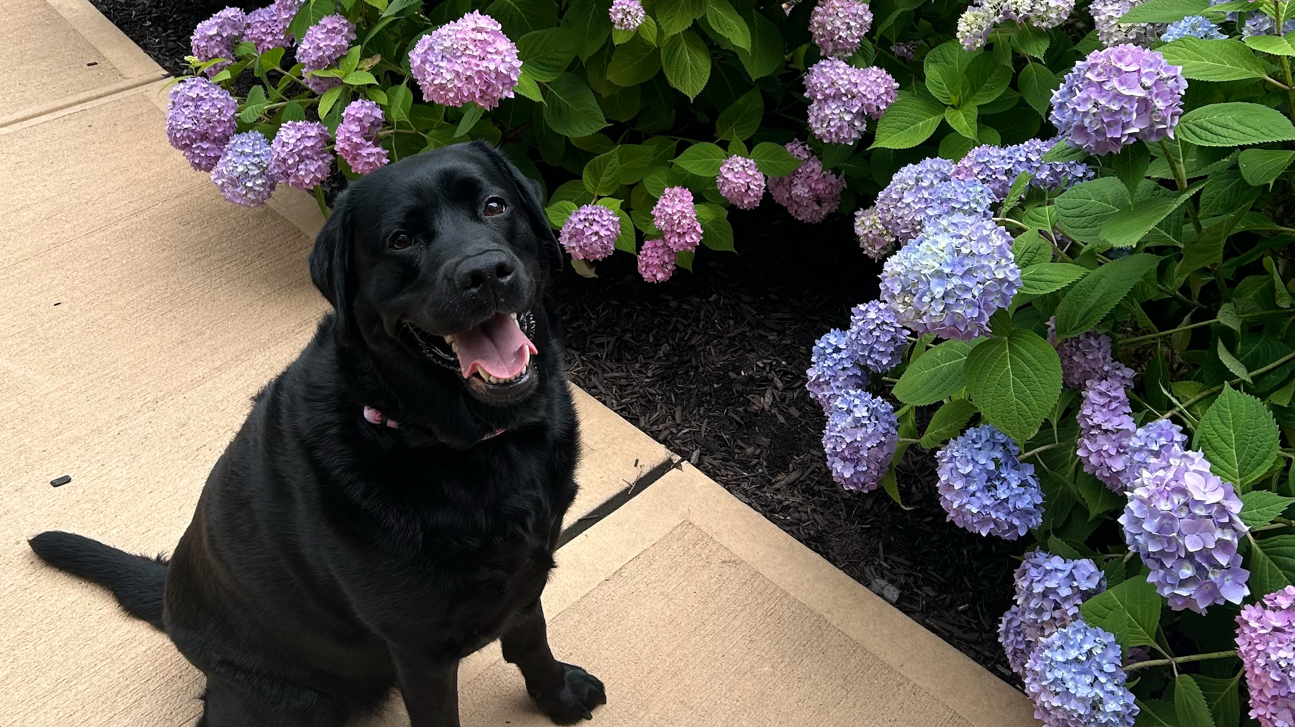 b3983f5e-337b-495a-8d0d-797a2d3c3fe4