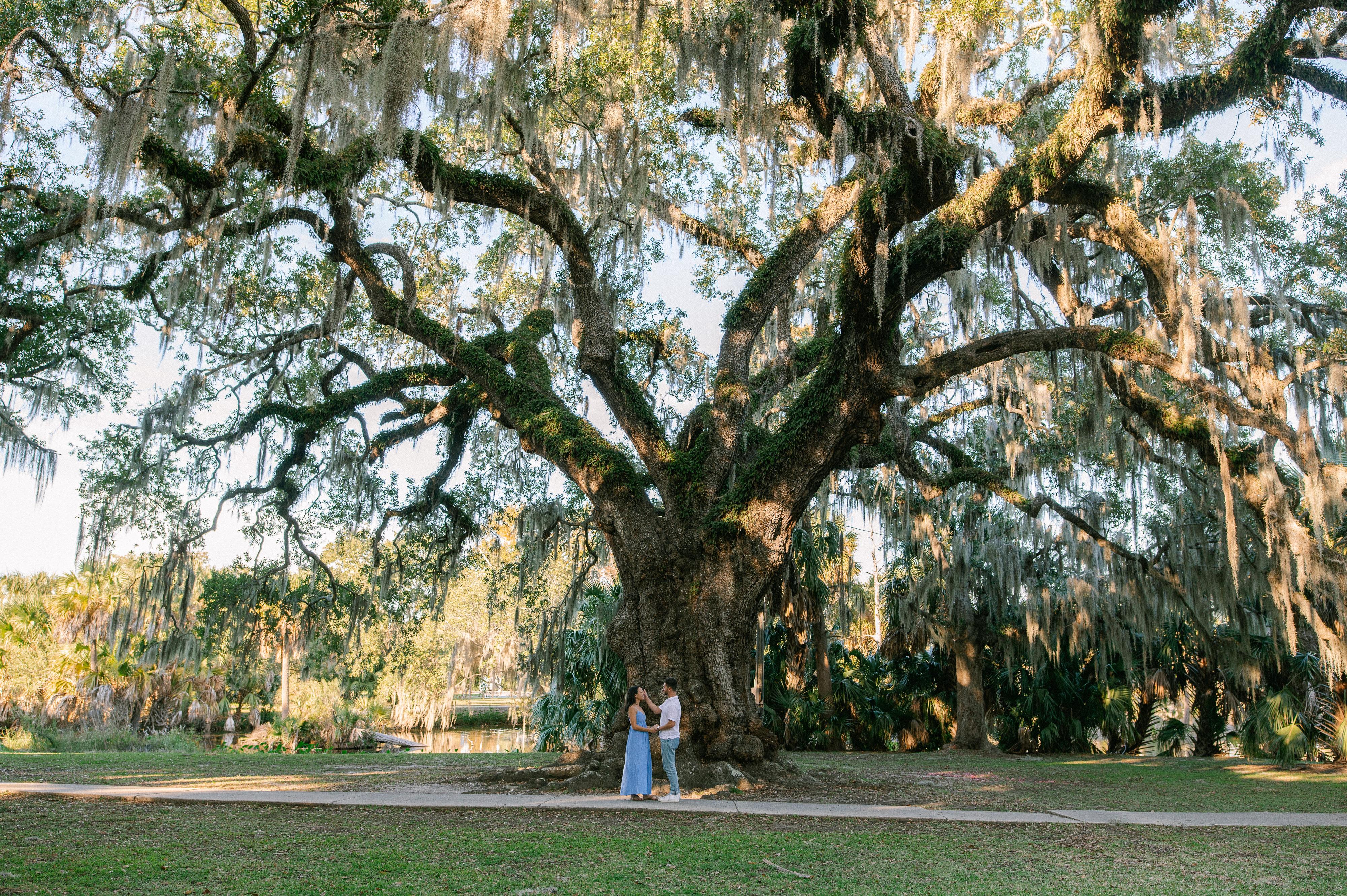 The Wedding Website of Serena Deutch and Derek Brody