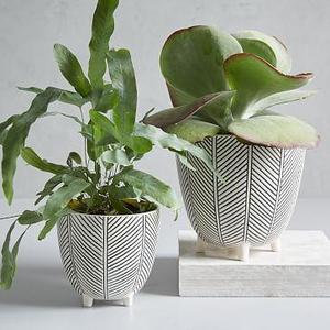 Art in the Forest Cachepots