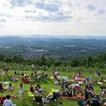 Carter's Mountain