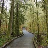 Tualatin Hills Nature Park