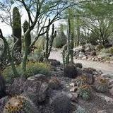 Arizona-Sonora Desert Museum
