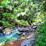 El Yunque