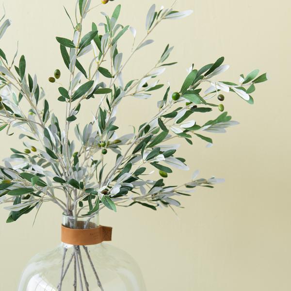 Olive Stem