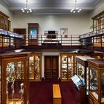 The Mütter Museum at The College of Physicians of Philadelphia