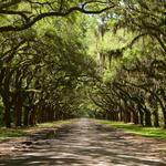 Wormsloe Historic Site