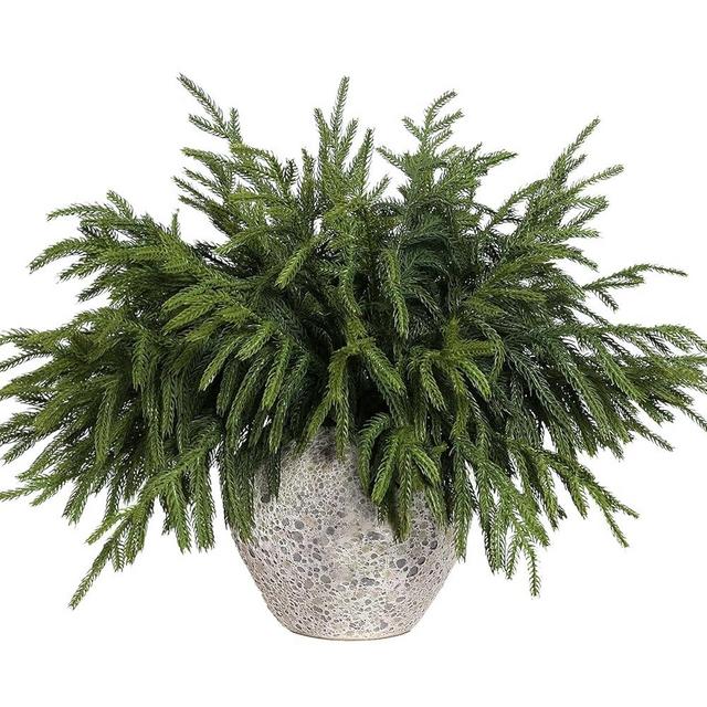 YXZZWL 16 Pcs Christmas Norfolk Pine Branches, 18 Inch Real Touch Artificial Norfolk Pine Branch Faux Cedar Pine Stem Fake Greenery Pine Picks for Vase DIY Garland Wreath Home Decoration