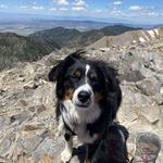 Hiking Near Bozeman- Sacagawea Peak Trail