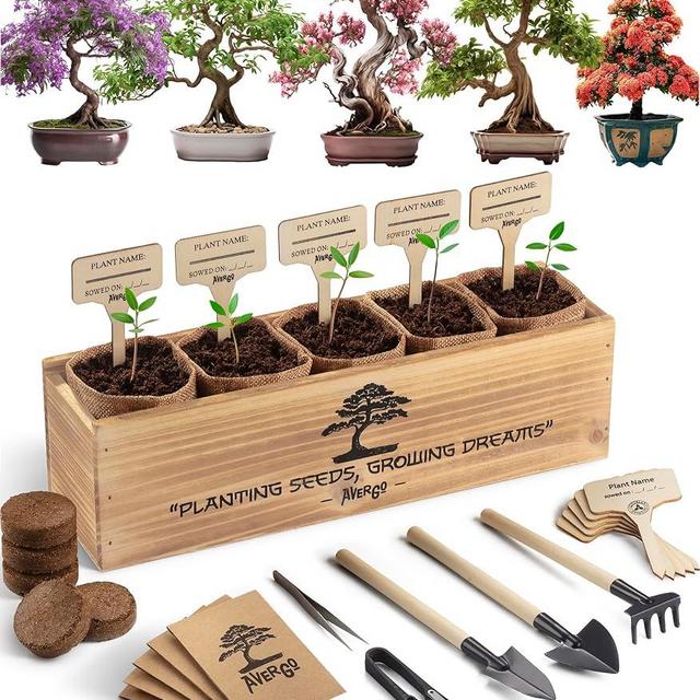 Avergo Bonsai Tree Kit – 5X Unique Japanese Bonzai Trees | Complete Indoor Starter Kit for Growing Bonsai Plants with Tools & Planters – Gardening Gifts for Women & Men
