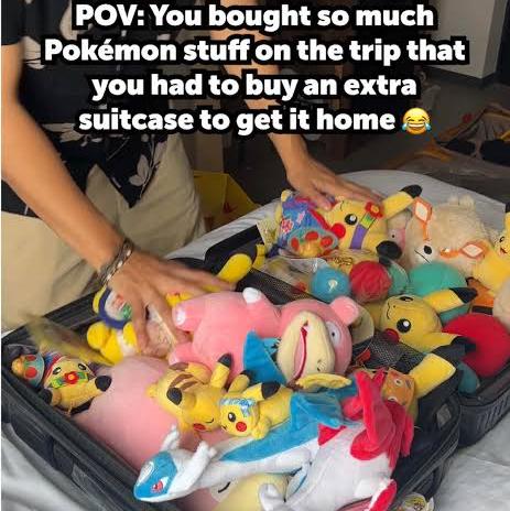 Extra Suitcase For When Zoey Buys Too Many Souvenirs