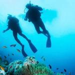 Scuba Diving ~ $125 per person
