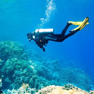 Discover Scuba Diving for 2 - Kailua Kona, HI