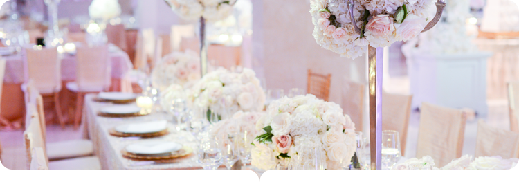 The Wedding Website of Marc Boriosi and Brianna Brodt