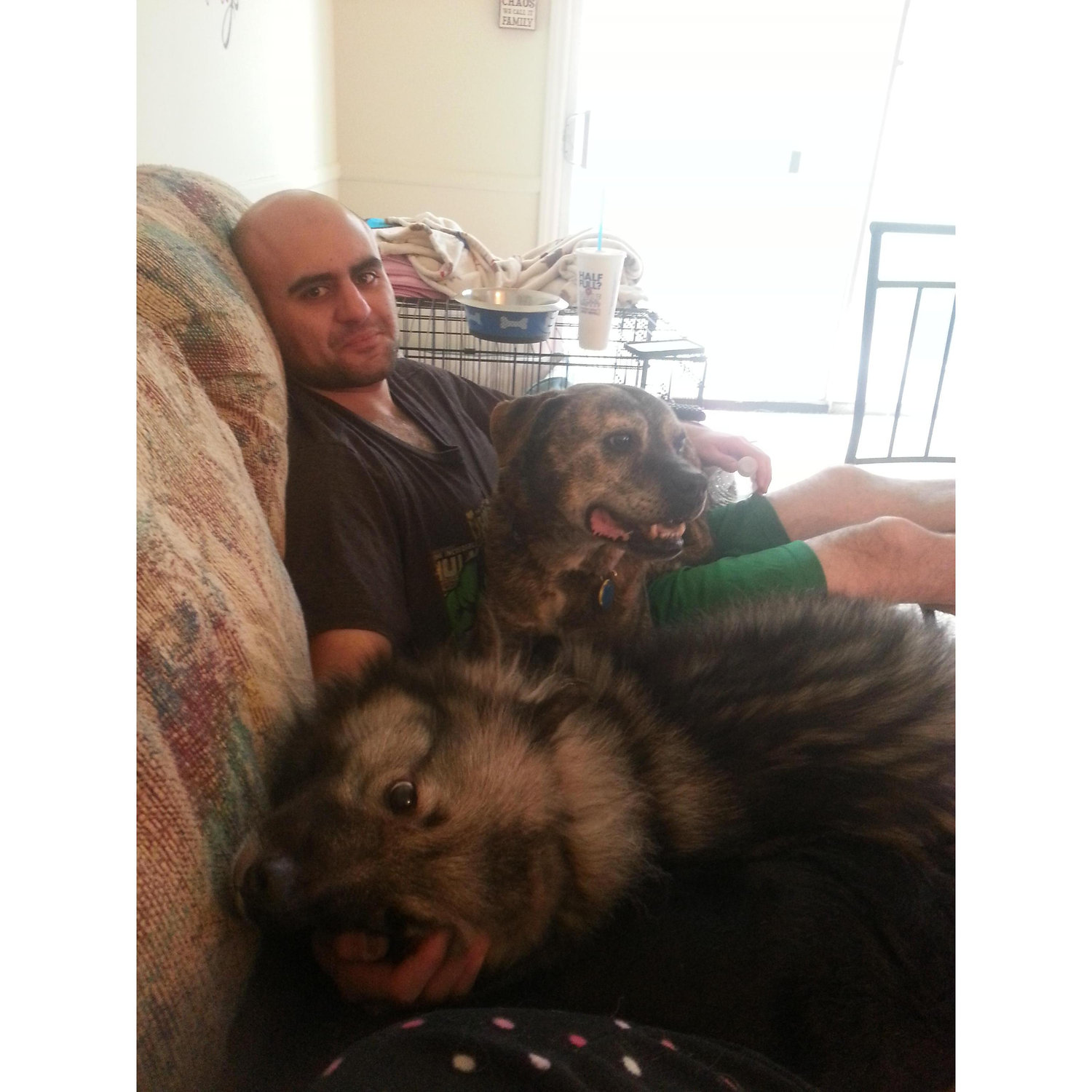When we got our first animal together