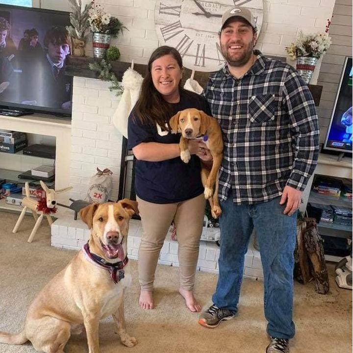 The day we welcomed our new addition, Pepper Potts December 2018
