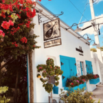 Mandolin Aegean Bistro