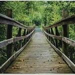 Limberlost Trailhead