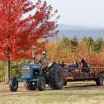 Shelburne Orchards