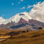 Cotopaxi