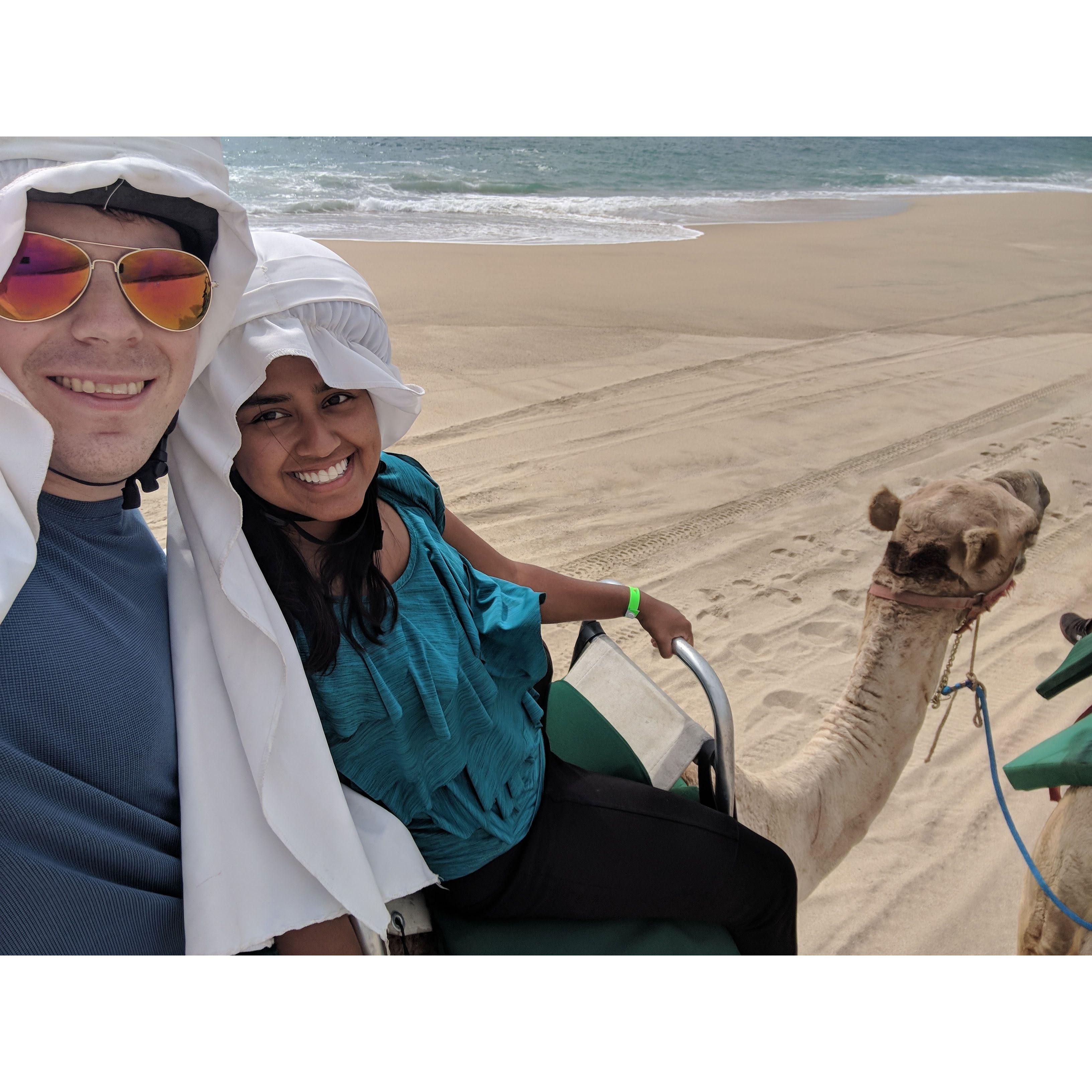 Riding Camels in Cabo