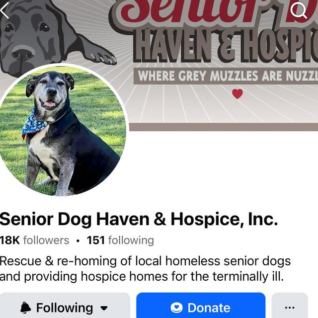 Senior dog haven and hospice