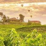 Falkner Winery & The Pinnacle Restaurant