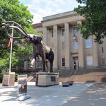 Morrill Hall