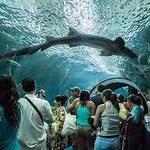 Veracruz Aquarium