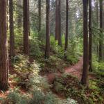 Hoyt Arboretum