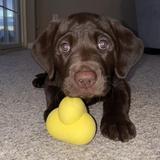 Visit Juniper