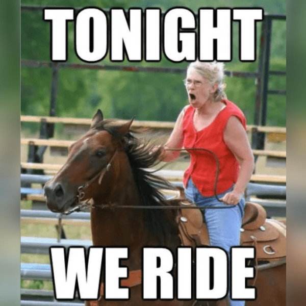 Horseback Riding On Our Honeymoon