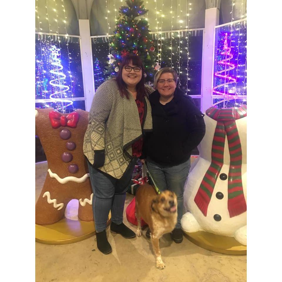 Christmas 2018