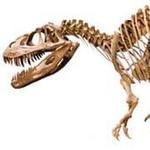 Dinosaur National Monument