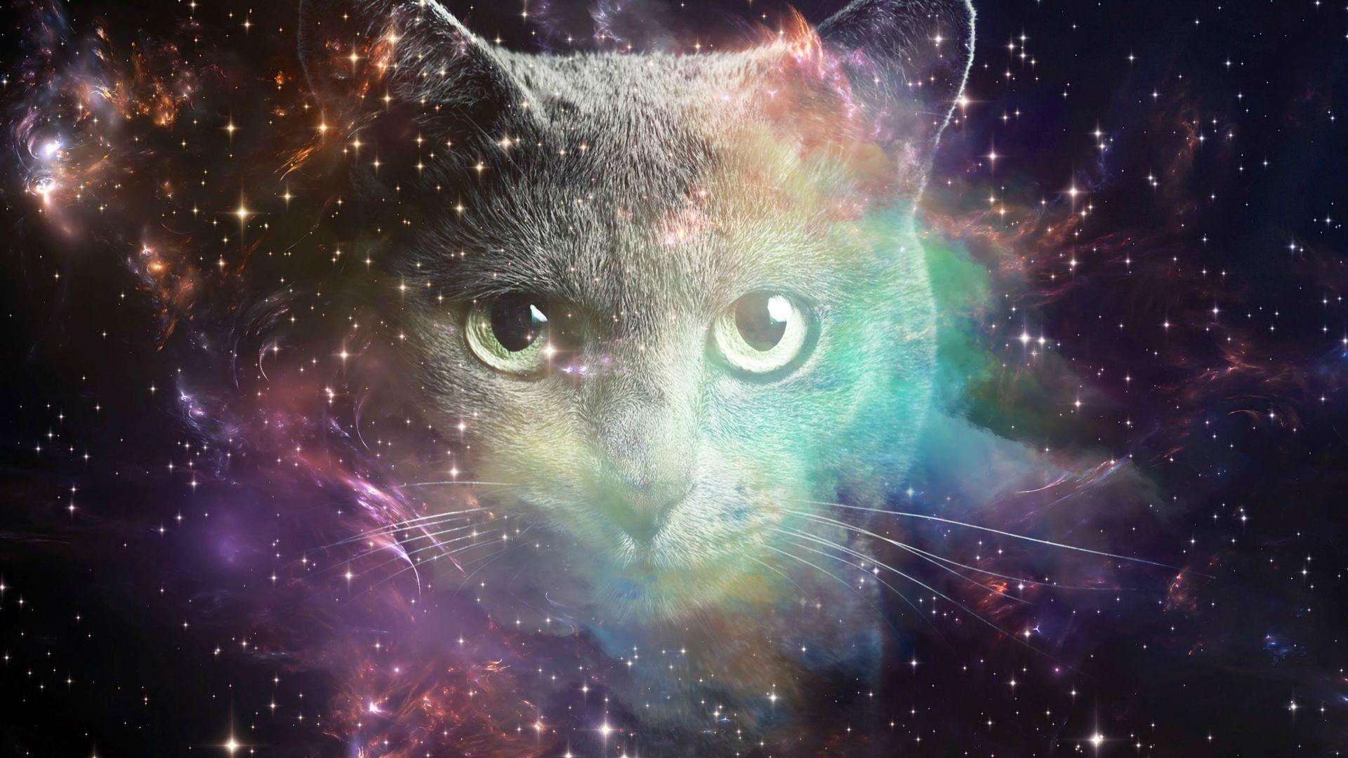 b3b7e7fe-6831-4827-9f06-114051c9cdc4
