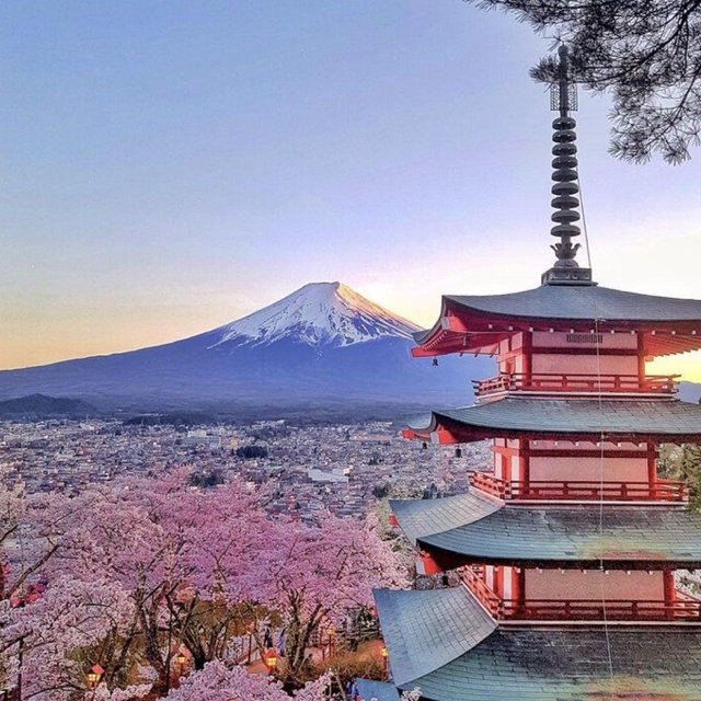 Honeymoon Fund in Japan!