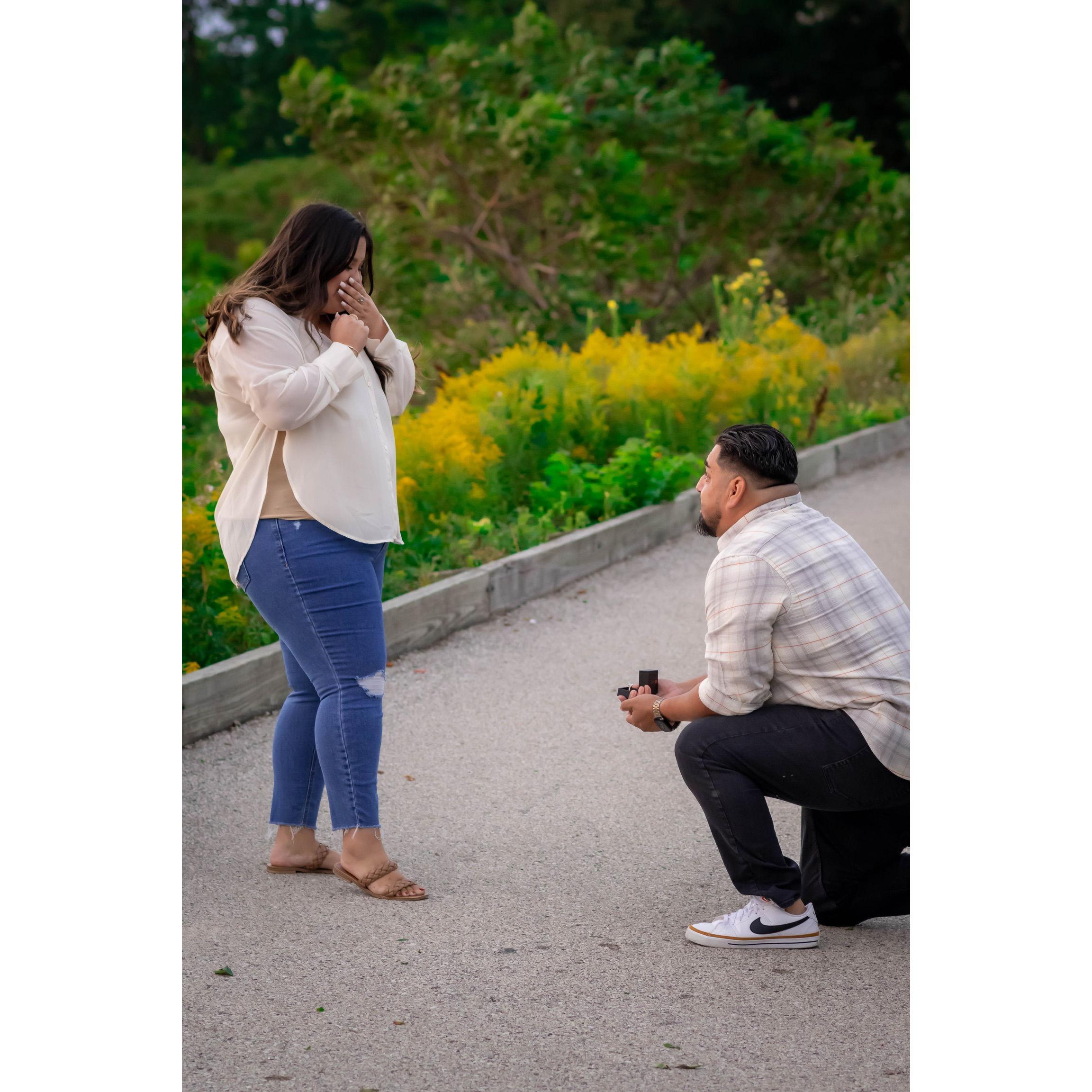 When Jonathan proposed!
