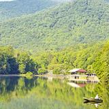 Vogel State Park
