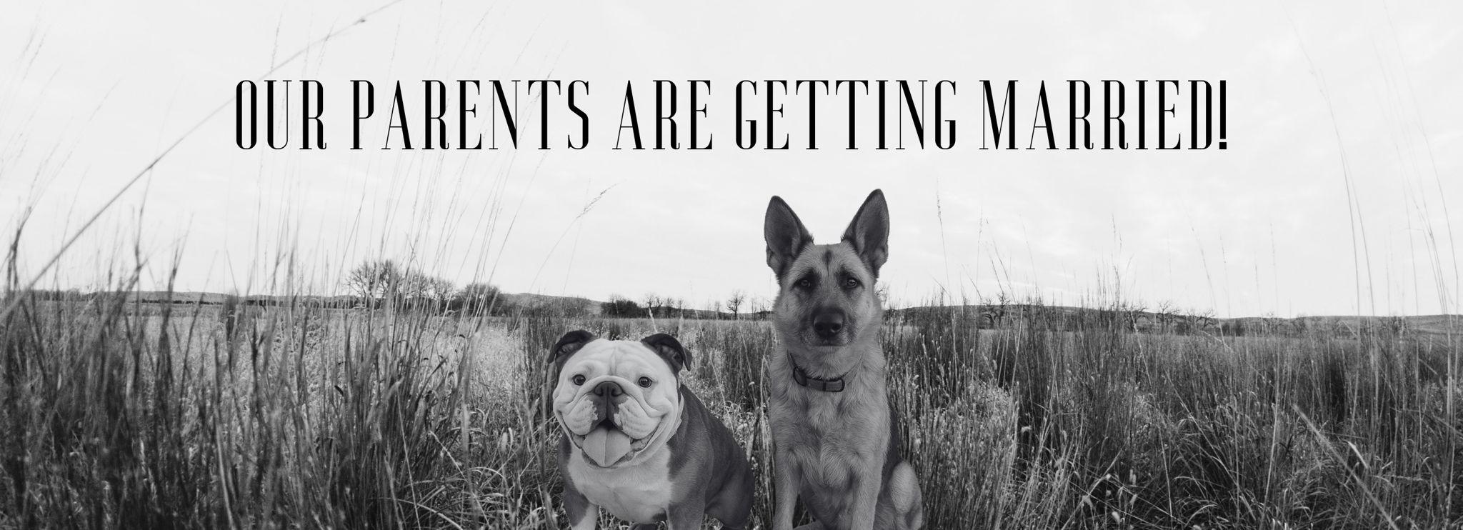 b3b99d62-dbfa-498b-94fb-06ae976b8d88