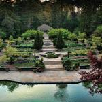 Sarah P. Duke Gardens