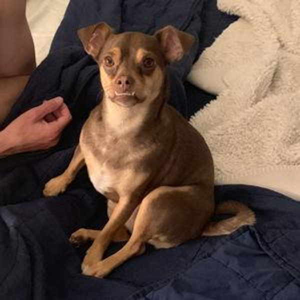 Gus Fund