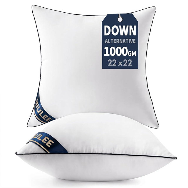 MIULEE 22x22 Pillow Inserts Set of 2 Throw Pillows 22 Inch Premium Down Alternative Pillow Inserts Decorative Pillow Stuffer for Sofa, Couch (22x22 inch, Set of 2)