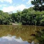 Biological Reserve Saltinho