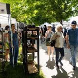 Pioneer Park Farmer's Market