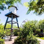 Luci's at the Orchard