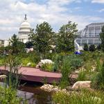 United States Botanic Garden