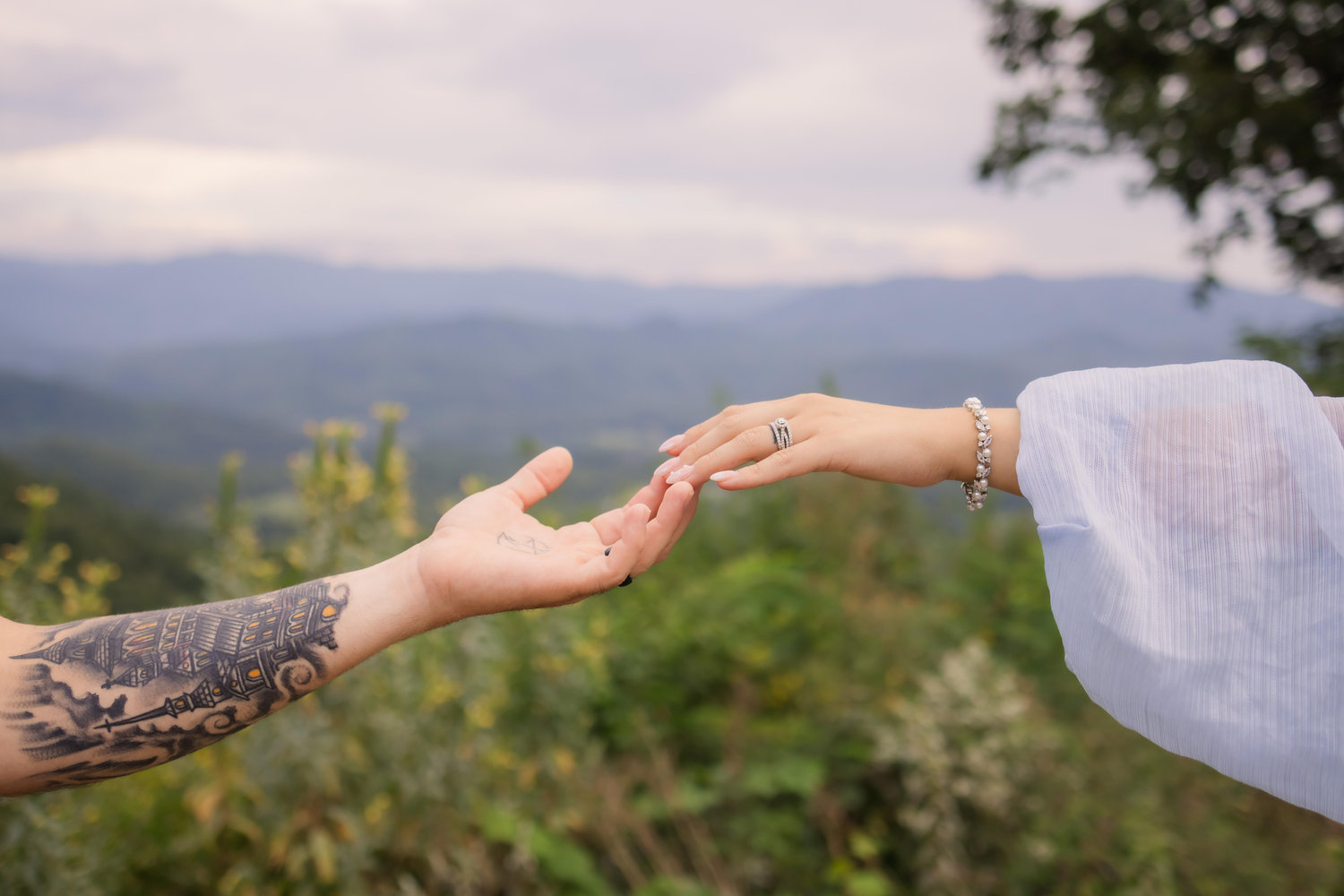The Wedding Website of Courtney McDougall-Chu and Andrew McDougall-Chu
