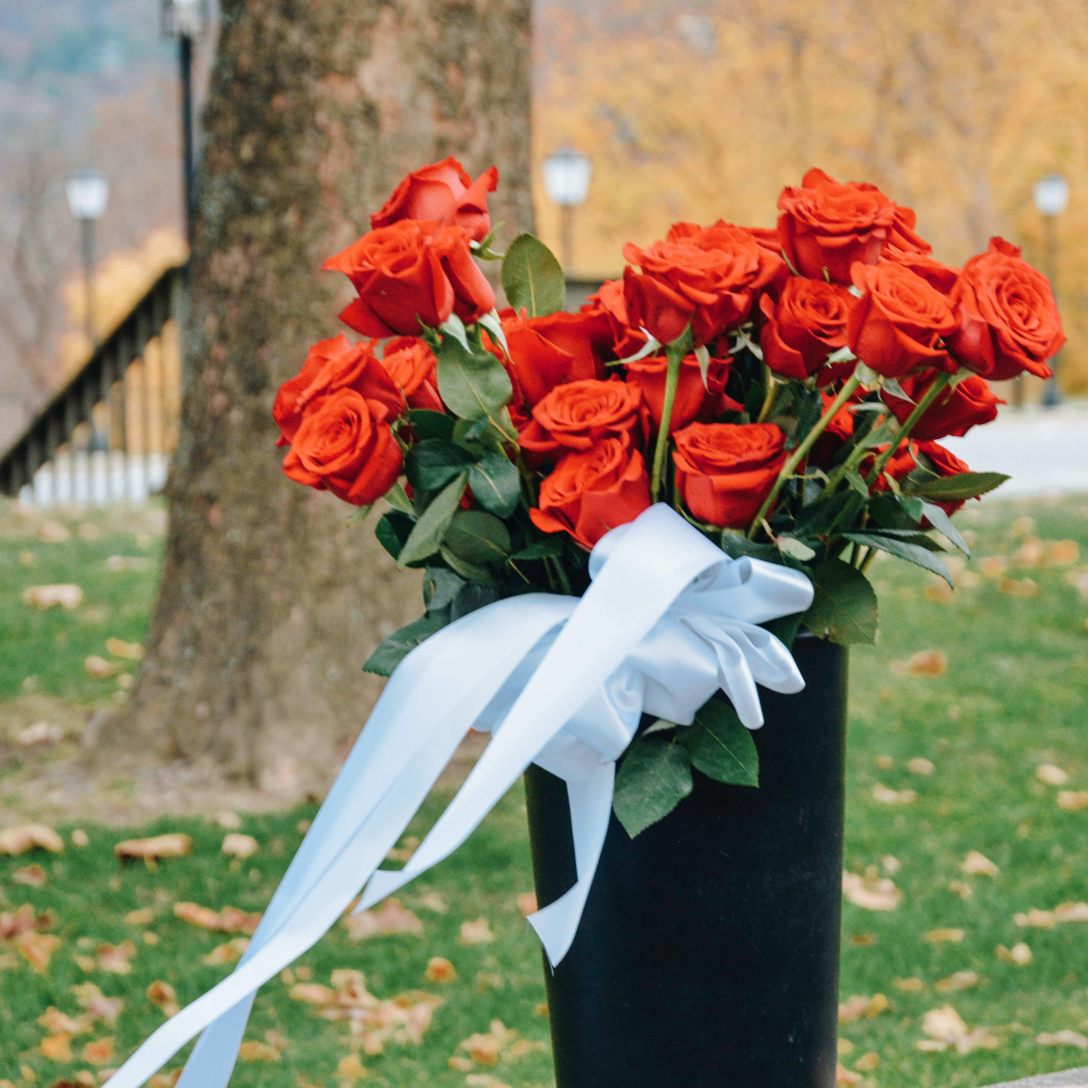 The beautiful long-stem roses Joe got for the proposal!