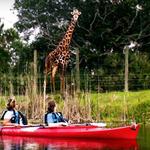 Brevard Zoo