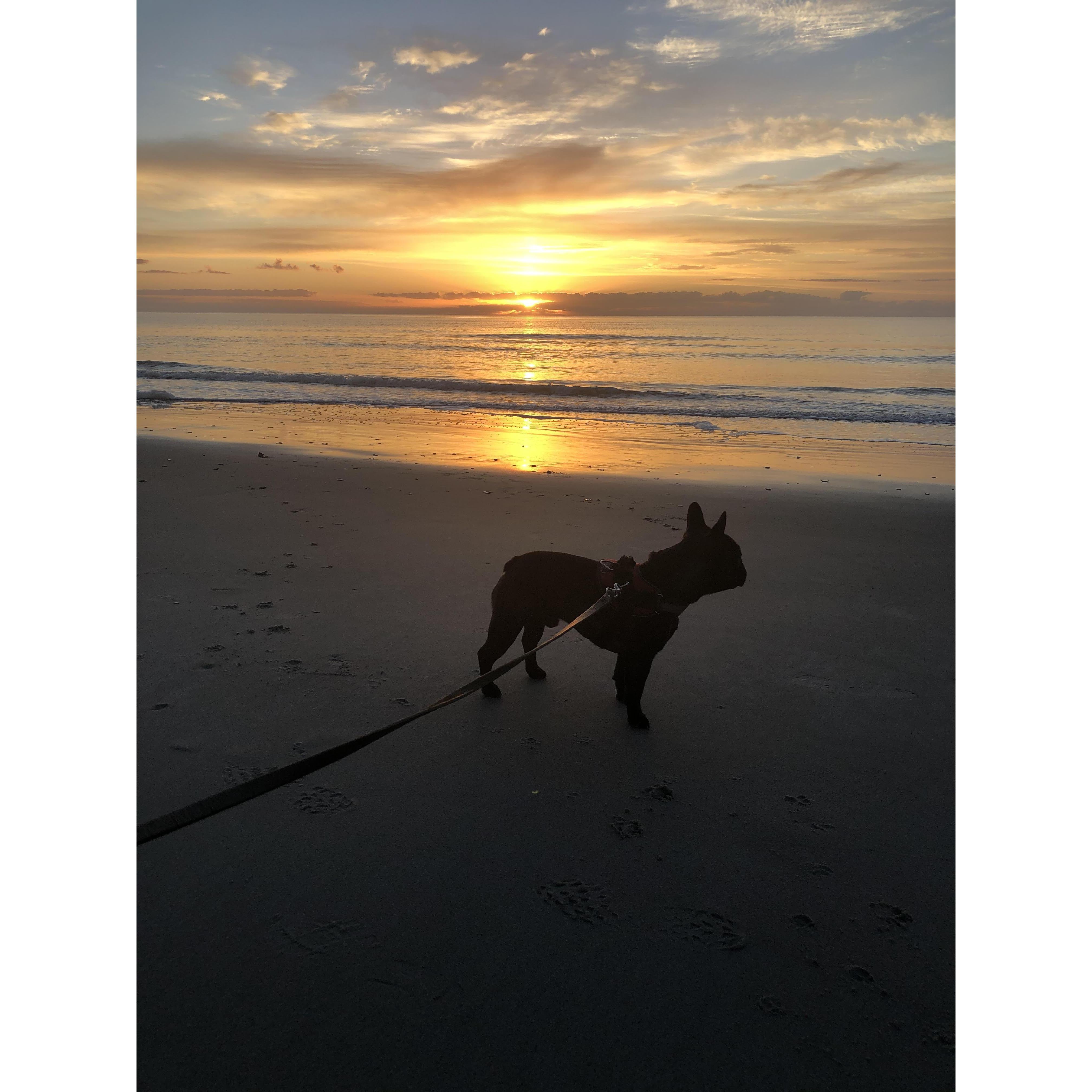 Our boy, Mack